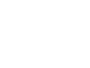 ANT-BEE's Web Bizarre - Click on an image to continue . . .